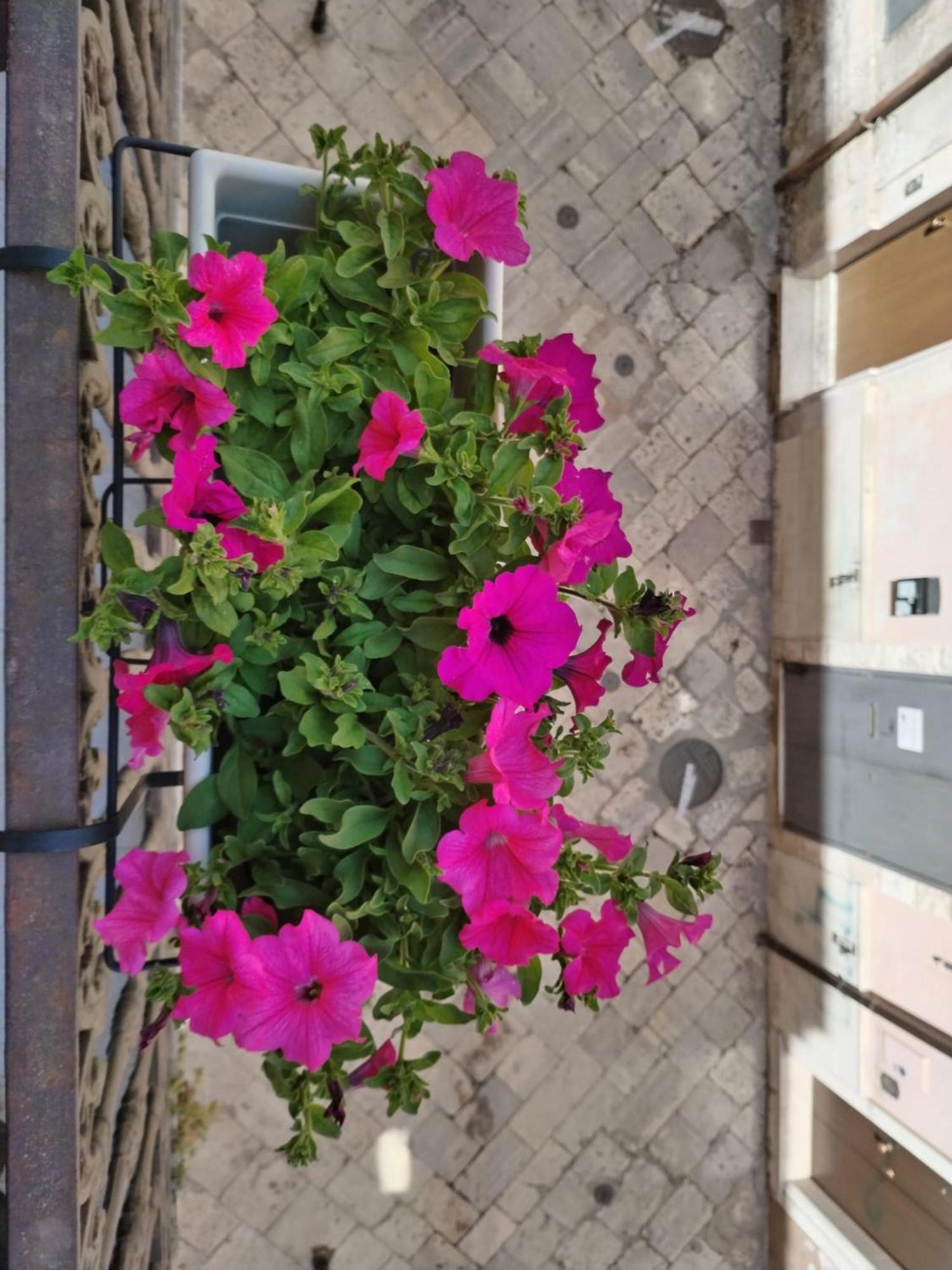 Happy House Salento Apartment Brindisi Ngoại thất bức ảnh